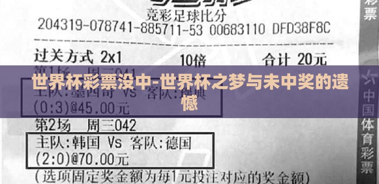 世界杯彩票没中-世界杯之梦与未中奖的遗憾