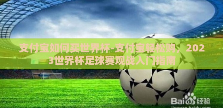 支付宝如何买世界杯-支付宝轻松购，2023世界杯足球赛观战入门指南