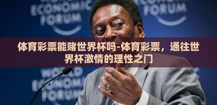 体育彩票能赌世界杯吗-体育彩票，通往世界杯激情的理性之门