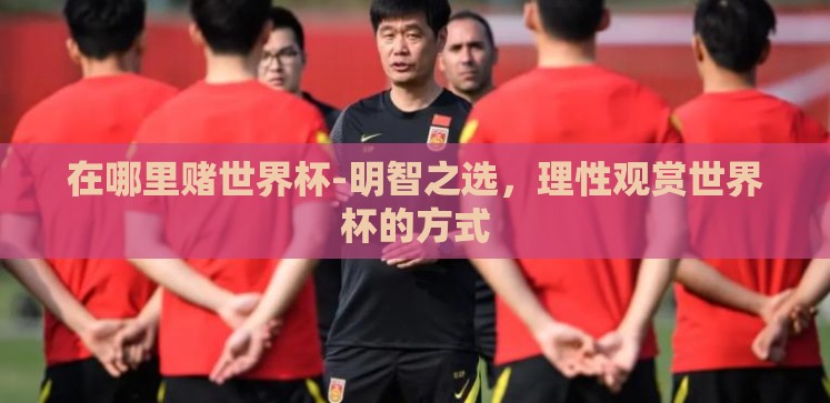在哪里赌世界杯-明智之选,理性观赏世界杯的方式 在哪里赌世界杯-明智之选,理性观赏世界杯的方式