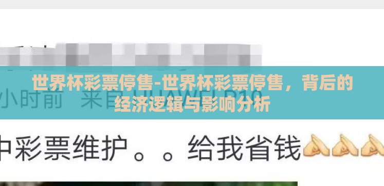 世界杯彩票停售-世界杯彩票停售,背后的经济逻辑与影响分析 世界杯彩票停售-世界杯彩票停售,背后的经济逻辑与影响分析