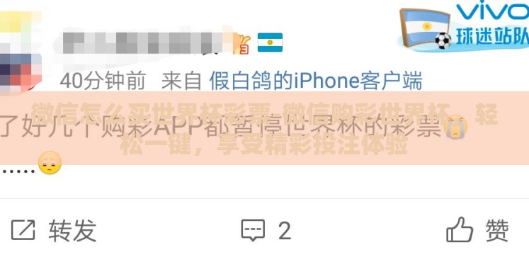 微信怎么买世界杯彩票-微信购彩世界杯,轻松一键,享受精彩投注体验 微信怎么买世界杯彩票-微信购彩世界杯,轻松一键,享受精彩投注体验
