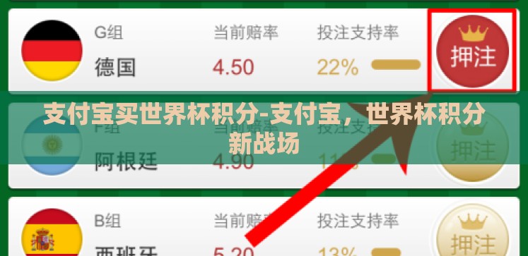支付宝买世界杯积分-支付宝,世界杯积分新战场 支付宝买世界杯积分-支付宝,世界杯积分新战场