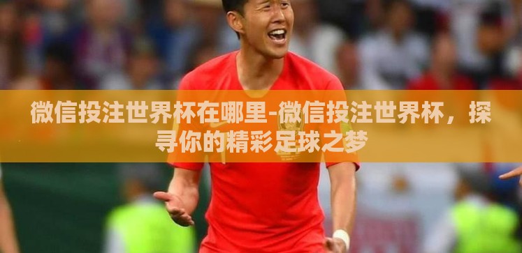 微信投注世界杯在哪里-微信投注世界杯,探寻你的精彩足球之梦 微信投注世界杯在哪里-微信投注世界杯,探寻你的精彩足球之梦