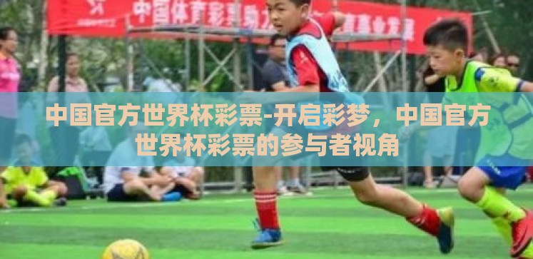 中国官方世界杯彩票-开启彩梦,中国官方世界杯彩票的参与者视角 中国官方世界杯彩票-开启彩梦,中国官方世界杯彩票的参与者视角