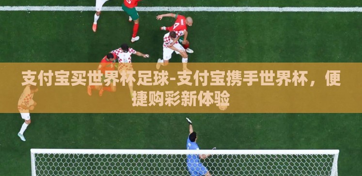支付宝买世界杯足球-支付宝携手世界杯，便捷购彩新体验