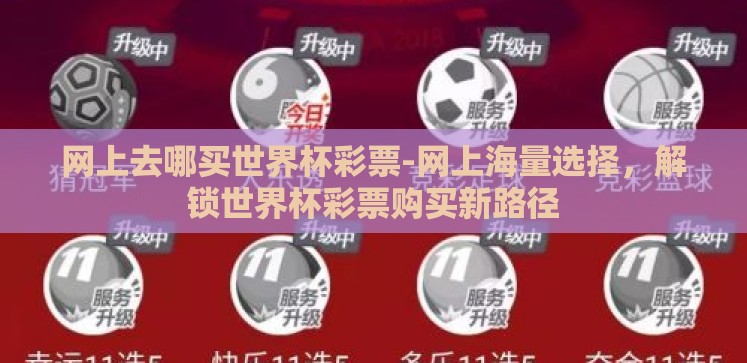 网上去哪买世界杯彩票-网上海量选择，解锁世界杯彩票购买新路径