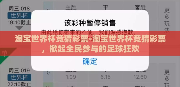 淘宝世界杯竞猜彩票-淘宝世界杯竞猜彩票,掀起全民参与的足球狂欢 淘宝世界杯竞猜彩票-淘宝世界杯竞猜彩票,掀起全民参与的足球狂欢