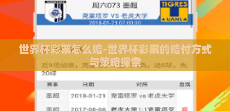 世界杯彩票怎么赔-世界杯彩票的赔付方式与策略探索