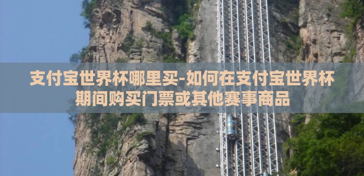 支付宝世界杯哪里买-如何在支付宝世界杯期间购买门票或其他赛事商品 支付宝世界杯哪里买-如何在支付宝世界杯期间购买门票或其他赛事商品