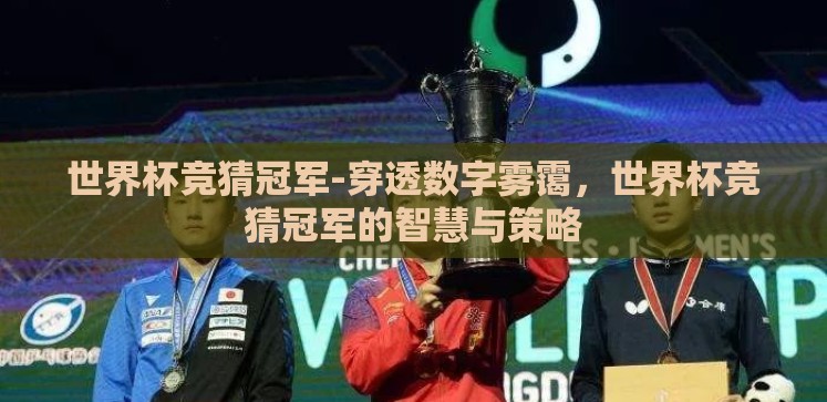 世界杯竞猜冠军-穿透数字雾霭,世界杯竞猜冠军的智慧与策略 世界杯竞猜冠军-穿透数字雾霭,世界杯竞猜冠军的智慧与策略