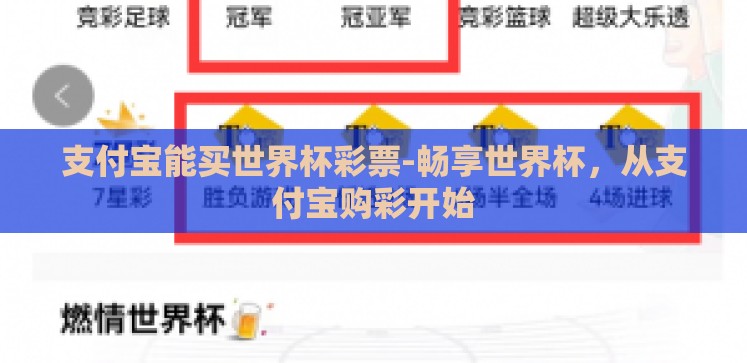 支付宝能买世界杯彩票-畅享世界杯,从支付宝购彩开始 支付宝能买世界杯彩票-畅享世界杯,从支付宝购彩开始