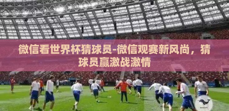 微信看世界杯猜球员-微信观赛新风尚,猜球员赢激战激情 微信看世界杯猜球员-微信观赛新风尚,猜球员赢激战激情