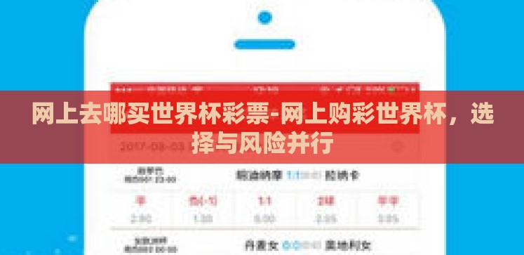 网上去哪买世界杯彩票-网上购彩世界杯，选择与风险并行
