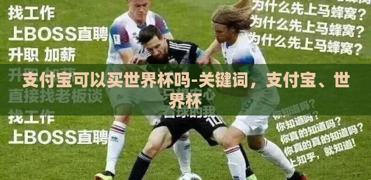 支付宝可以买世界杯吗-关键词，支付宝、世界杯