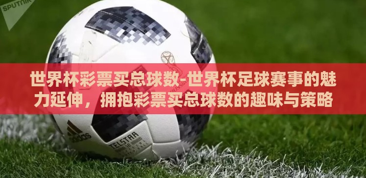 世界杯彩票买总球数-世界杯足球赛事的魅力延伸,拥抱彩票买总球数的趣味与策略 世界杯彩票买总球数-世界杯足球赛事的魅力延伸,拥抱彩票买总球数的趣味与策略