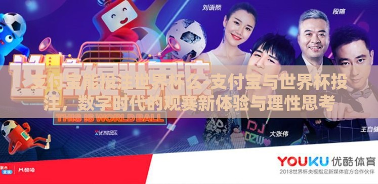 支付宝能投注世界杯么-支付宝与世界杯投注，数字时代的观赛新体验与理性思考