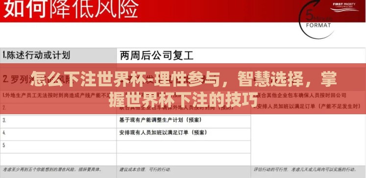 怎么下注世界杯-理性参与，智慧选择，掌握世界杯下注的技巧