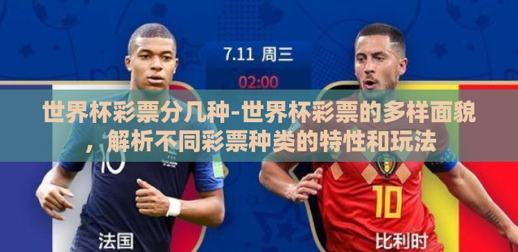 世界杯彩票分几种-世界杯彩票的多样面貌，解析不同彩票种类的特性和玩法