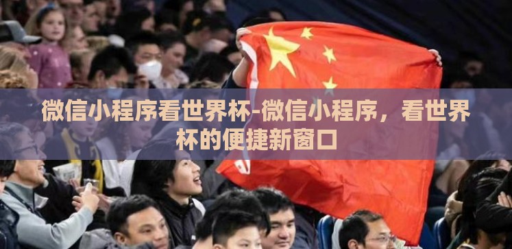 微信小程序看世界杯-微信小程序,看世界杯的便捷新窗口 微信小程序看世界杯-微信小程序,看世界杯的便捷新窗口