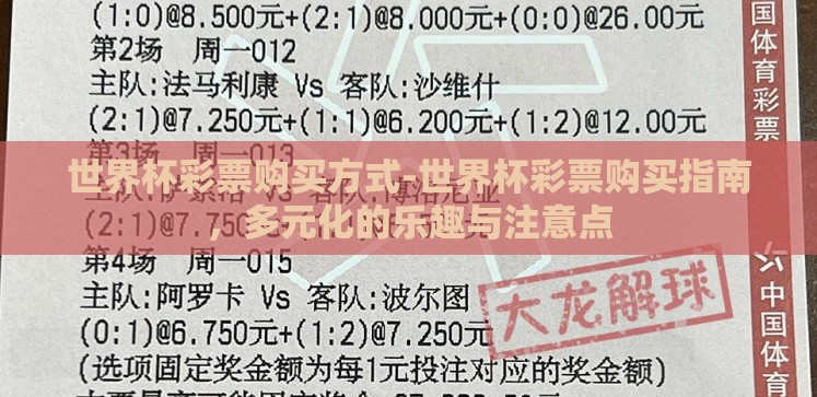 世界杯彩票购买方式-世界杯彩票购买指南，多元化的乐趣与注意点