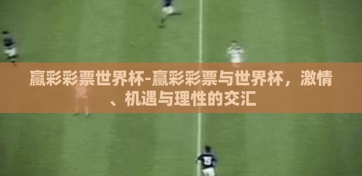 赢彩彩票世界杯-赢彩彩票与世界杯,激情、机遇与理性的交汇 赢彩彩票世界杯-赢彩彩票与世界杯,激情、机遇与理性的交汇