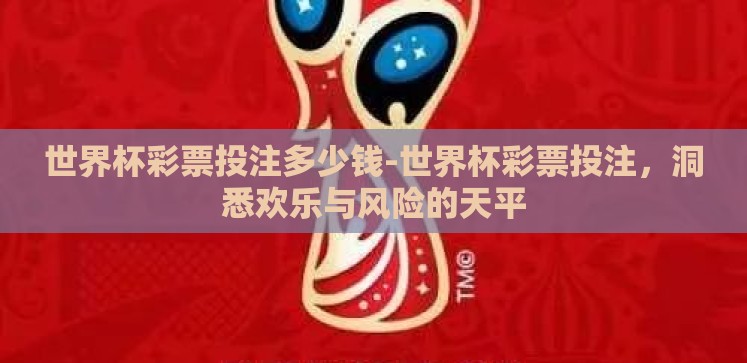 世界杯彩票投注多少钱-世界杯彩票投注,洞悉欢乐与风险的天平 世界杯彩票投注多少钱-世界杯彩票投注,洞悉欢乐与风险的天平