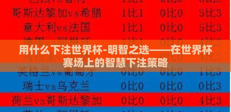 用什么下注世界杯-明智之选——在世界杯赛场上的智慧下注策略
