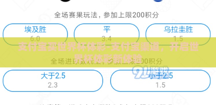 支付宝买世界杯体彩-支付宝渠道,开启世界杯体彩新体验 支付宝买世界杯体彩-支付宝渠道,开启世界杯体彩新体验