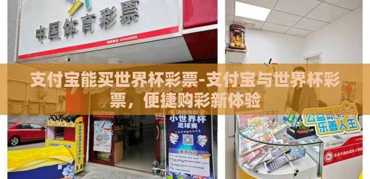 支付宝能买世界杯彩票-支付宝与世界杯彩票，便捷购彩新体验