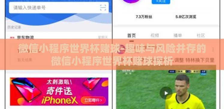 微信小程序世界杯赌球-趣味与风险并存的微信小程序世界杯赌球探析 微信小程序世界杯赌球-趣味与风险并存的微信小程序世界杯赌球探析