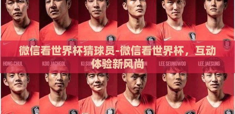 微信看世界杯猜球员-微信看世界杯,互动体验新风尚 微信看世界杯猜球员-微信看世界杯,互动体验新风尚