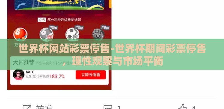 世界杯网站彩票停售-世界杯期间彩票停售,理性观察与市场平衡 世界杯网站彩票停售-世界杯期间彩票停售,理性观察与市场平衡