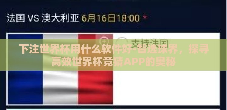 下注世界杯用什么软件好-智选球界,探寻高效世界杯竞猜APP的奥秘 下注世界杯用什么软件好-智选球界,探寻高效世界杯竞猜APP的奥秘