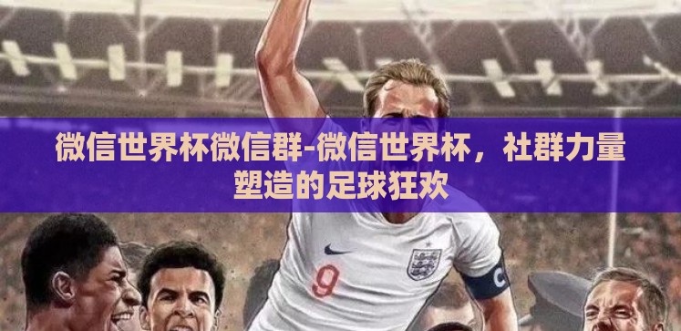 微信世界杯微信群-微信世界杯,社群力量塑造的足球狂欢 微信世界杯微信群-微信世界杯,社群力量塑造的足球狂欢