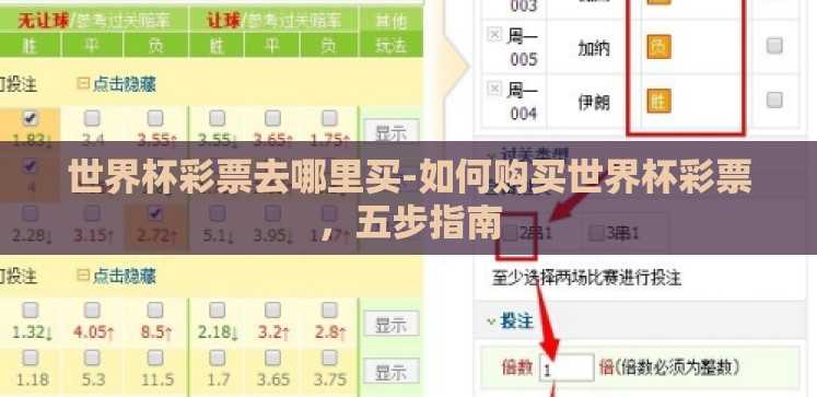 世界杯彩票去哪里买-如何购买世界杯彩票,五步指南 世界杯彩票去哪里买-如何购买世界杯彩票,五步指南