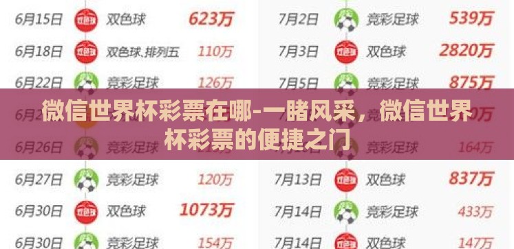 微信世界杯彩票在哪-一睹风采,微信世界杯彩票的便捷之门 微信世界杯彩票在哪-一睹风采,微信世界杯彩票的便捷之门
