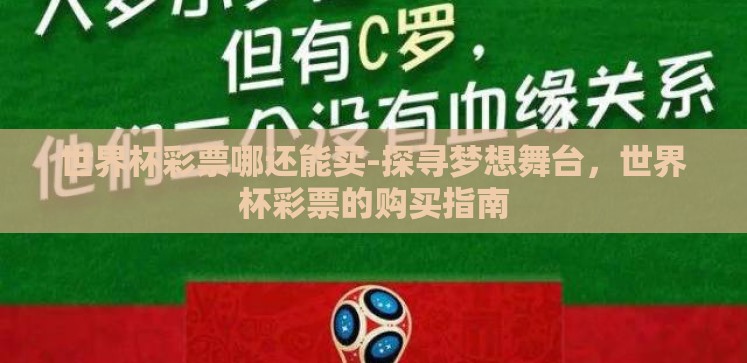 世界杯彩票哪还能买-探寻梦想舞台,世界杯彩票的购买指南 世界杯彩票哪还能买-探寻梦想舞台,世界杯彩票的购买指南