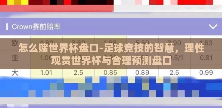 怎么赌世界杯盘口-足球竞技的智慧，理性观赏世界杯与合理预测盘口