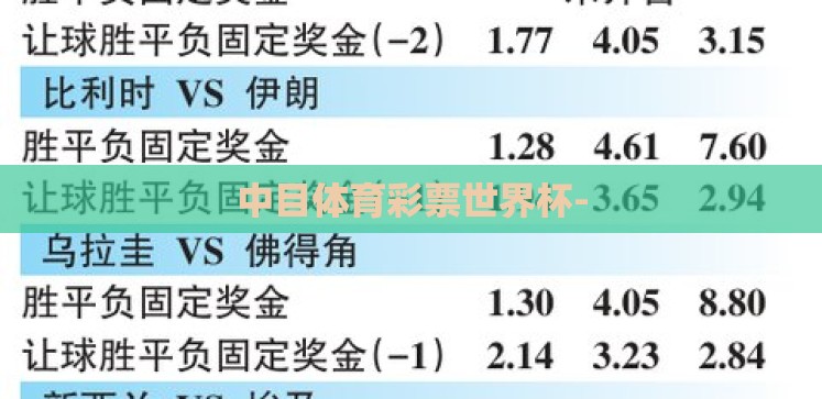 中目体育彩票世界杯-