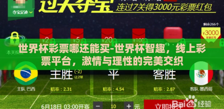 世界杯彩票哪还能买-世界杯智趣，线上彩票平台，激情与理性的完美交织