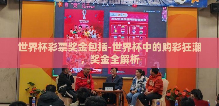 世界杯彩票奖金包括-世界杯中的购彩狂潮，奖金全解析
