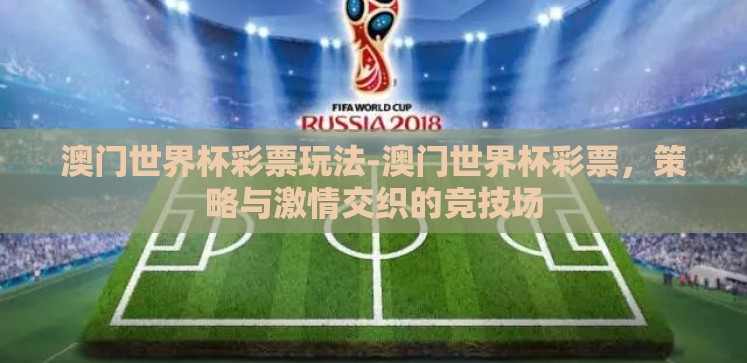澳门世界杯彩票玩法-澳门世界杯彩票，策略与激情交织的竞技场
