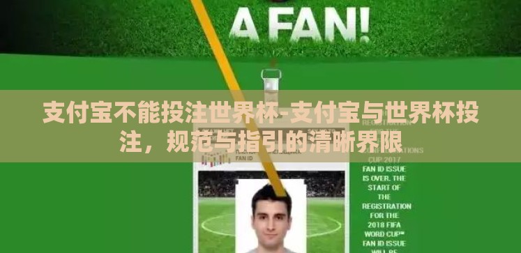 支付宝不能投注世界杯-支付宝与世界杯投注，规范与指引的清晰界限
