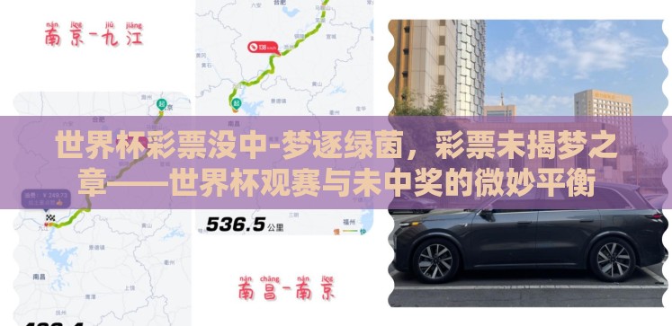 世界杯彩票没中-梦逐绿茵,彩票未揭梦之章——世界杯观赛与未中奖的微妙平衡 世界杯彩票没中-梦逐绿茵,彩票未揭梦之章——世界杯观赛与未中奖的微妙平衡