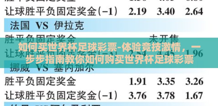 如何买世界杯足球彩票-体验竞技激情，一步步指南教你如何购买世界杯足球彩票